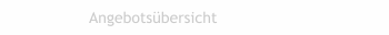 Angebotsübersicht 